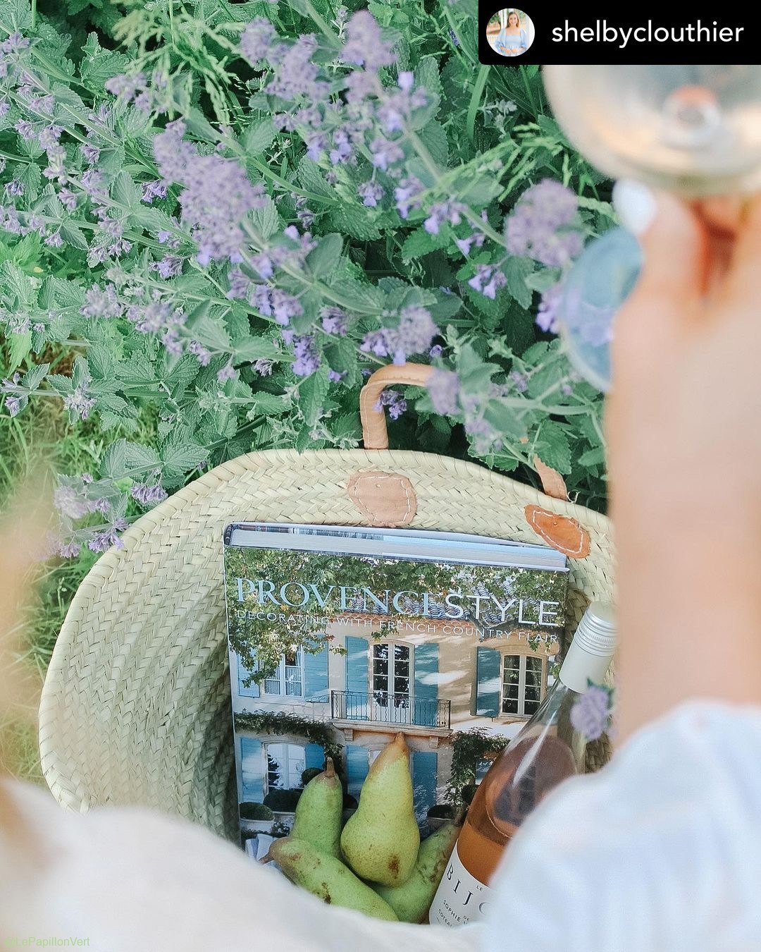 Provence Style Picnic! @shelbyclouthier Olivia Basket