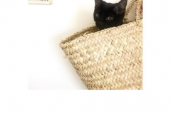 Gorgeous black kitty cat in our Rustic Basket (@lavenderhouse)